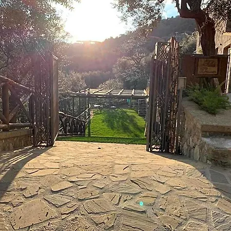 Hotel Holidays Homes The Dream 4*