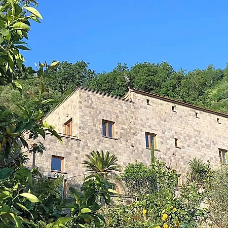 Holidays Homes The Dream